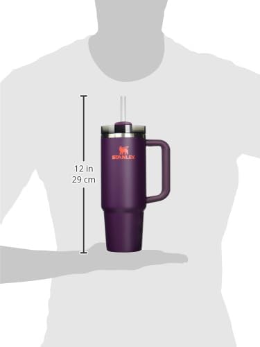 STANLEY Quencher H2.0 Tumbler with Handle and Straw 30 oz | Flowstate 3-Position Lid | Cup Holder Compatible for Travel | Insulated Stainless Steel Cup | BPA-Free | Plum - Bloomnest
