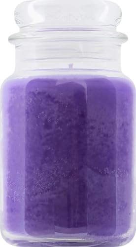 Yankee Candle Lilac Blossoms Scented Classic 22oz Large Jar Single Wick Candle Over 110 Hours of Burn Time Perfect for Gifting Gatherings and Seasonal Decorations - Bloomnest