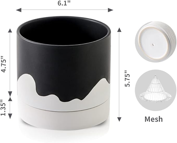 Nihow Ceramic Plant Pot: 6 Inch Planter with Drainage Hole & Saucer for Indoor & Outdoor Plants - Cylinder Round Flower Pot for Succulent/Herbs/Violets - Black & Wave White - Bloomnest