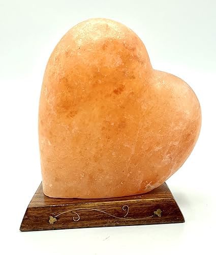 Himalayan Pink Salt Heart Lamp Comes with Dimmer Switch and a Pair of Bulbs (Heart 1) Gift Idea - Bloomnest