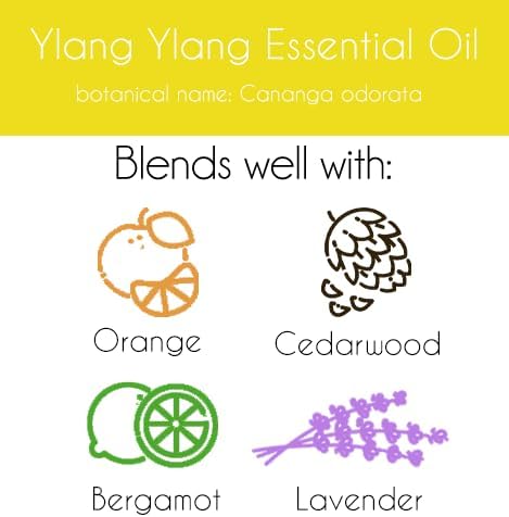 Ylang Ylang Essential Oil – 16 fl oz (473 ml) Aluminum Bottle w/Plug Cap – 100% Pure Essential Oil – GreenHealth - Bloomnest
