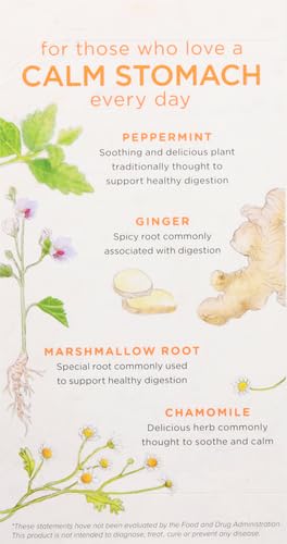 Bigelow Tea Ginger & Peach, 18 ct (Pack of 2) - Bloomnest