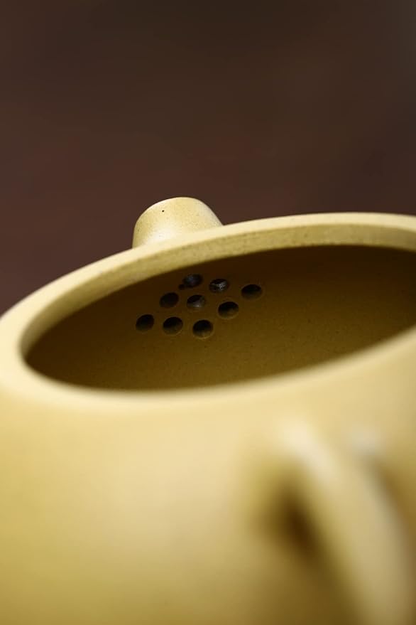 Xishi Teapot 15oz Chinese Zisha Clay Pot Ceramics Purple Sand Mud Kungfu Tea Set Kettle 9 Hole Filter (Yellow 450ml) - Bloomnest