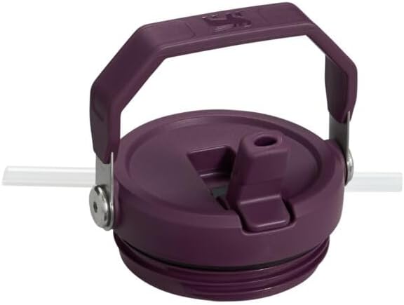 Stanley IceFlow Flip Straw Tumbler with Handle 20 oz | Twist On Lid and Flip Up Straw | Leak Resistant Water Bottle | Insulated Stainless Steel |BPA-Free | Tigerlily Plum - Bloomnest