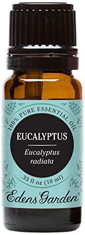Edens Garden Eucalyptus- Radiata Essential Oil- 100% Pure Premium Grade, Undiluted, Natural, Therapeutic, Aromatherapy, The Best for Diffuser, Laundry, Hair, Humidifiers 10 ml (.33 fl oz) EdensGarden