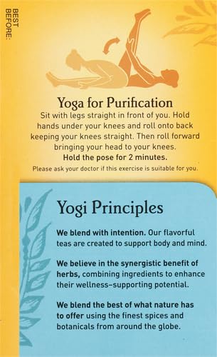 Yogi Organic Detox Tea, 16 ct - Bloomnest