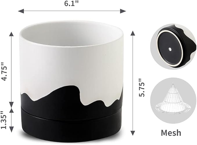 Nihow Ceramic Plant Pot: 6 Inch Planter with Drainage Hole & Saucer for Indoor & Outdoor Plants - Cylinder Round Flower Pot for Succulent/Herbs/Violets - White & Wave Black - Bloomnest