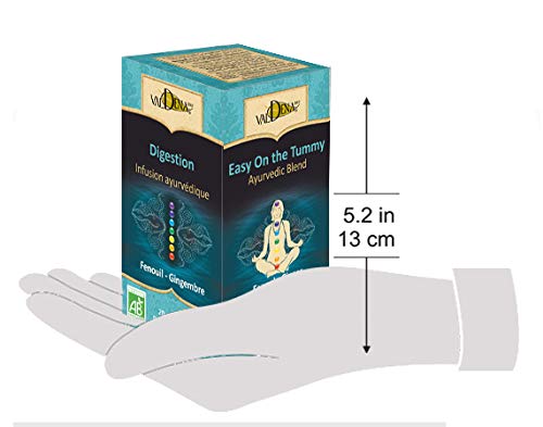 VALDENA BIO Ayurvedic Herbal Tea (Fennel - Ginger Tea) - Bloomnest
