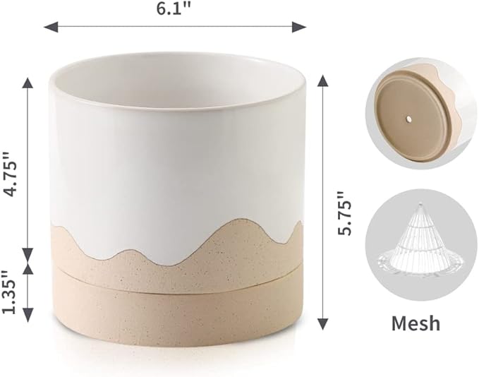 Nihow Ceramic Plant Pot: 6 Inch Planter with Drainage Hole & Saucer for Indoor & Outdoor Plants - Cylinder Round Flower Pot for Succulent/Herbs/Violets - White & Nature - Bloomnest