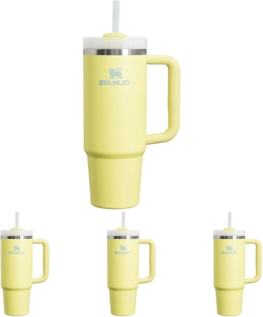 STANLEY Quencher H2.0 Tumbler with Handle and Straw 30 oz | Flowstate 3-Position Lid | Cup Holder Compatible for Travel | Insulated Stainless Steel Cup | BPA-Free | Pomelo (Pack of 4) - Bloomnest
