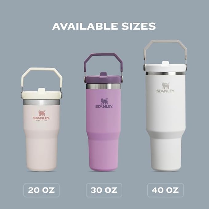 STANLEY IceFlow 2.0 Flip Straw Tumbler with Handle 20 oz | Twist On Lid and Flip Up Straw | Leak Resistant Water Bottle | Insulated Stainless Steel | BPA-Free | Frost - Bloomnest