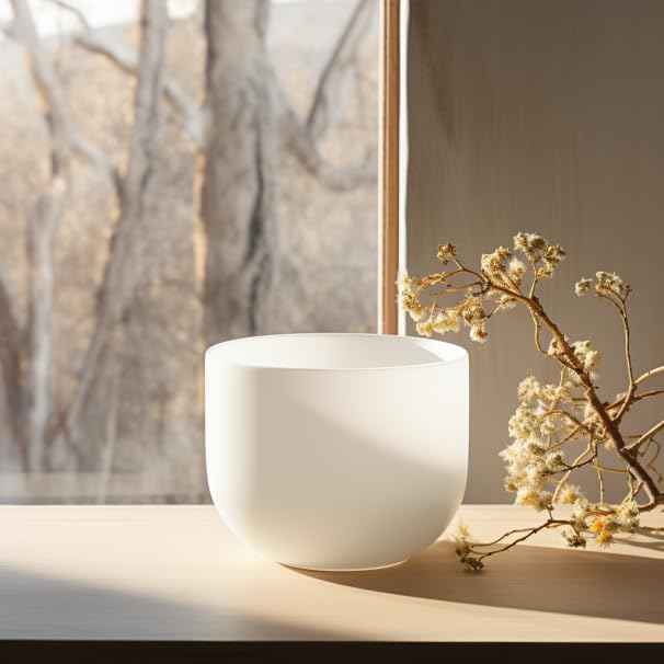 TOPFUND 10 inch C Note Crystal Singing Bowl Root Chakra with Heavy Duty Carrying Case and Suede Mallet