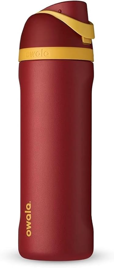 Owala Harry Potter FreeSip Insulated Stainless Steel Water Bottle with Straw, BPA-Free Sports Water Bottle, Great for Travel, 24 Oz, Gryffindor Owala