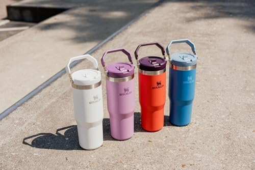Stanley IceFlow Flip Straw Tumbler with Handle 30 oz | Twist On Lid and Flip Up Straw | Leak Resistant Water Bottle | Insulated Stainless Steel |BPA-Free | Tigerlily Plum - Bloomnest