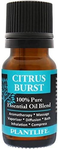Plantlife Citrus Burst Aromatherapy Essential Oil Blend - Straight from The Plant 100% Pure Therapeutic Grade - No Additives or Fillers - Made in California 10 ml - Bloomnest