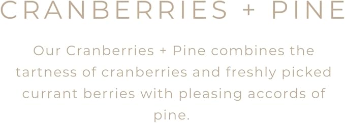 River Birch Candles Cranberries & Pine Scented Candle | Premium, All-Natural, Non-Toxic, Soy Candles | 16oz 90 Hr Burn Time | Cozy Relaxing Gifts for Home - Bloomnest