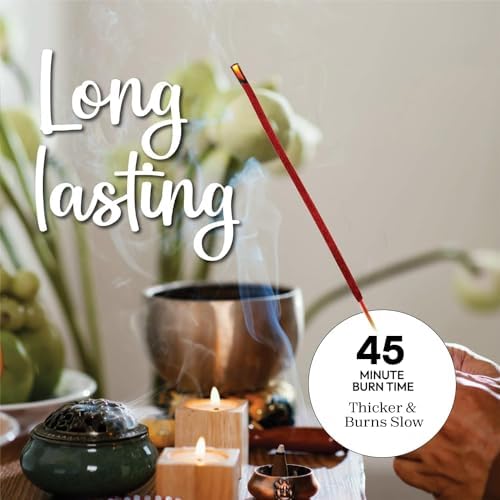 Potent Dragons Blood Incense Sticks - (40+Sticks, 9 inch) Thick Natural Resin Incense, Clean Charcoal Free | Sweet Spicy & Ambery Smelling Protection Incents (Sangre de Grado) (Burn Time 45+ Mins) - Bloomnest