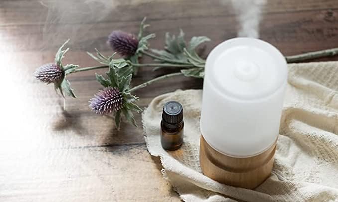 Wormwood Essential Oil - 100% Pure Grade Essential Oil by Nature's Note Organics - 4 Fl Oz - Bloomnest