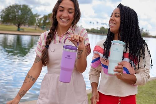 Stanley IceFlow Flip Straw Tumbler with Handle 30 oz | Twist On Lid and Flip Up Straw | Leak Resistant Water Bottle | Insulated Stainless Steel |BPA-Free | Lilac - Bloomnest