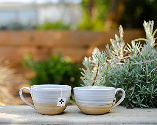 Art of Tea | Apricot Escape - Caffeine Free | 50 Eco Friendly Pyramid Tea Bag Sachets - Bloomnest