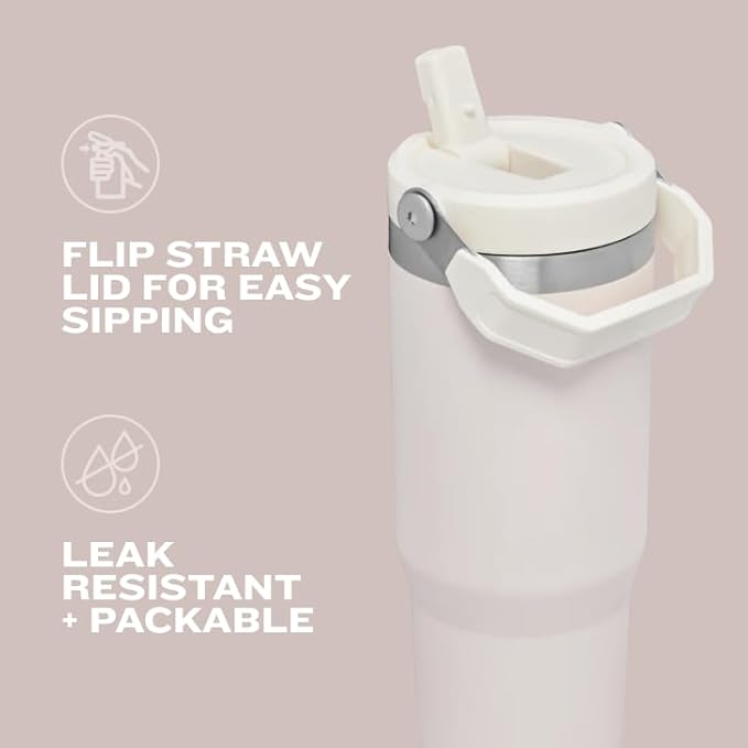 STANLEY IceFlow 2.0 Flip Straw Tumbler with Handle 20 oz | Twist On Lid and Flip Up Straw | Leak Resistant Water Bottle | Insulated Stainless Steel | BPA-Free | Frost - Bloomnest