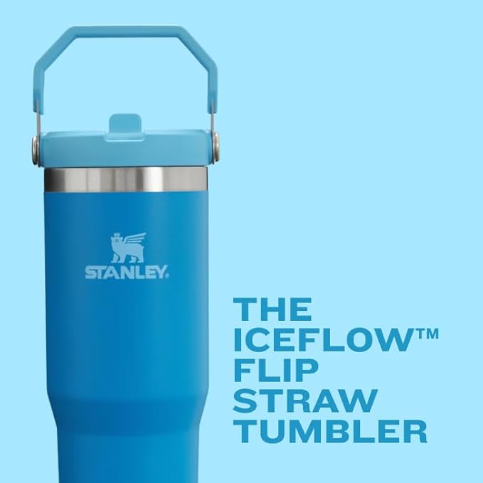 STANLEY IceFlow 2.0 Flip Straw Tumbler with Handle 20 oz | Twist On Lid and Flip Up Straw | Leak Resistant Water Bottle | Insulated Stainless Steel | BPA-Free | Frost - Bloomnest