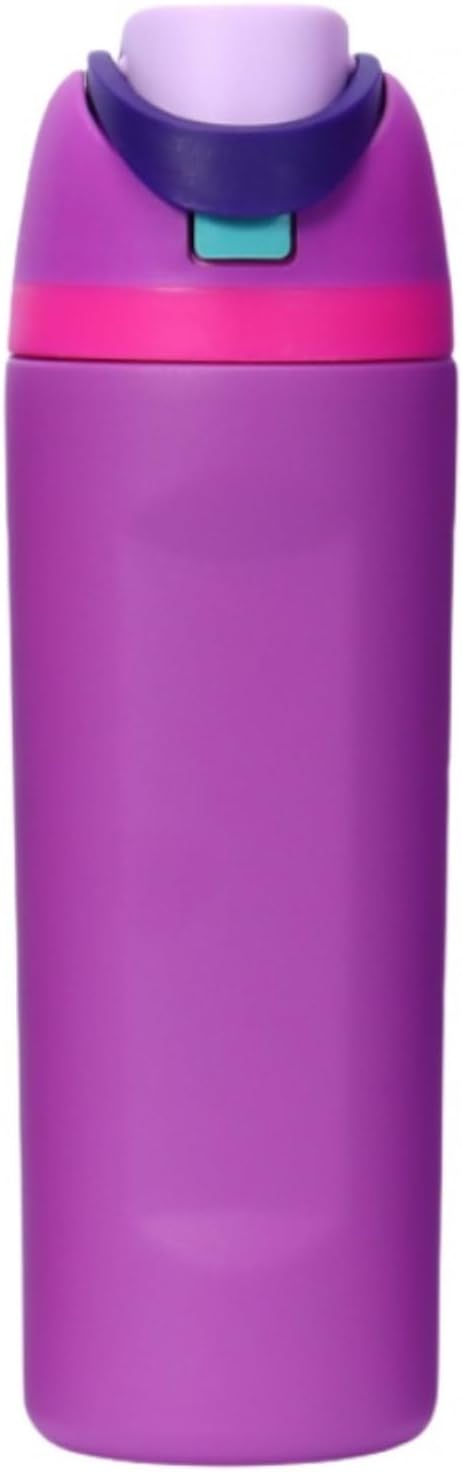 DUTHINGS Insulated Stainless Steel Water Bottle with Straw, 24 oz – Leakproof, BPA-Free Reusable Sports & Travel Bottle with Replacement Straw and Cleaning Brush (Purple) Bloomnest