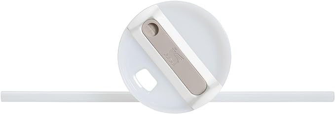 STANLEY Quencher H2.0 Tumbler with Handle and Straw 40 oz | Flowstate 3-Position Lid | Cup Holder Compatible for Travel | Insulated Stainless Steel Cup | BPA-Free | Frost