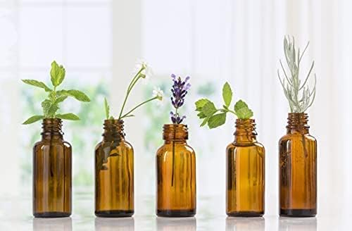 Wormwood Essential Oil - 100% Pure Grade Essential Oil by Nature's Note Organics - 4 Fl Oz - Bloomnest