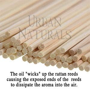 Urban Naturals Lavender Fields Oil Essential Oil Reed Diffuser Set with Real Lavender Stems! French Blossoms, Geranium & Clary Sage | #1 Gift Idea for Aromatherapy & Stress Relief | Vegan | USA Made - Bloomnest