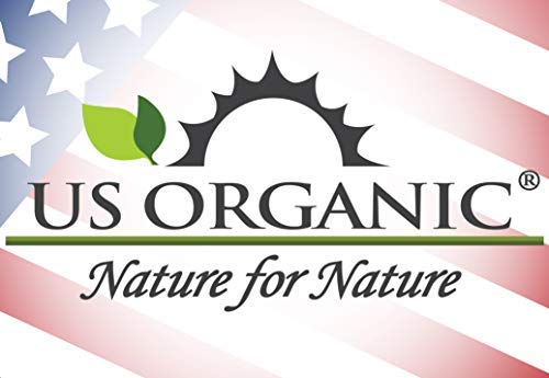 US Organic 100% Pure Sandalwood Essential Oil, USDA Certified Organic, Steam Distilled, Santalum Spicatum, Premium Quality, Woody Scent, Ideal for Diffuser, Massage & Skincare, from Australia (5 ml) - Bloomnest