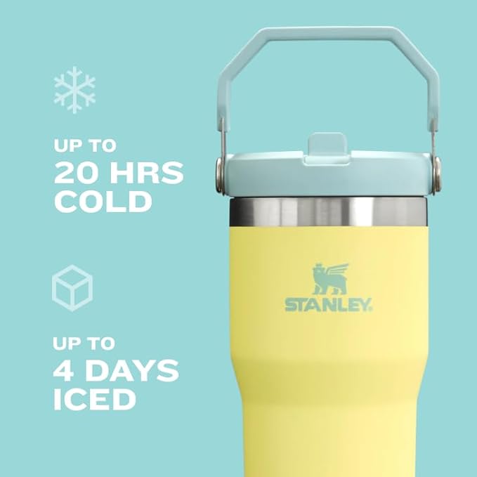 STANLEY IceFlow 2.0 Flip Straw Tumbler with Handle 20 oz | Twist On Lid and Flip Up Straw | Leak Resistant Water Bottle | Insulated Stainless Steel | BPA-Free | Frost - Bloomnest