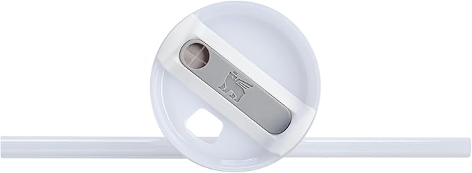 Stanley Quencher H2.0 Tumbler with Handle and Straw 14 oz | Flowstate 3-Position Lid | Cup Holder Compatible for Travel | Insulated Stainless Steel Cup | BPA-Free | Frost