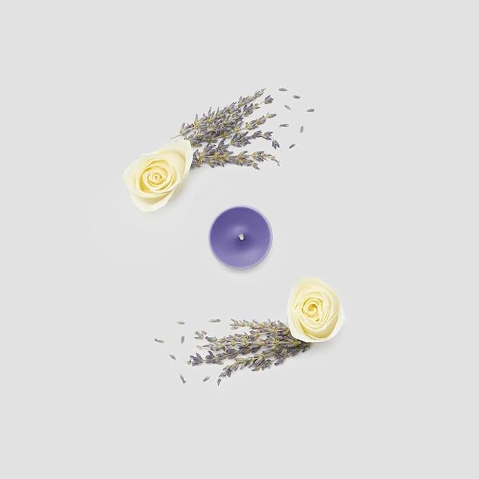 PartyLite Tea Lights Candles, Lavender and Tonka Bean with Soft Musk Scent, Gift Set of 12, Aromatherapy with up to 4 to 6 Hours Burn Time, Ideal for Home Decor, Holiday Gifting & Celebration - Bloomnest