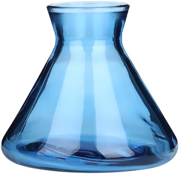WAIT FLY Creative Glass Diffuser Bottles for Essential Oils, Replacement Diffusers, Reed Sticks, Crafts, Spa, Home Decoration-Blue-7 OZ WAIT+FLY