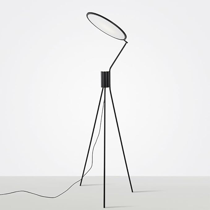 Nordic Floor Lamp Luxurious Modern Family Iiving Room Bedroom Creativity LED Decorative Standing Light (M) - Bloomnest