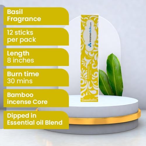 Concentration Incense 8" 12 Sticks - Bloomnest