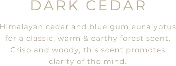 River Birch Candles Eucalyptus & Cedar Scented Candle | Premium, All-Natural, Non-Toxic, Soy Candles | 16oz 90 Hr Burn Time | Cozy Relaxing Gifts for Home - Bloomnest