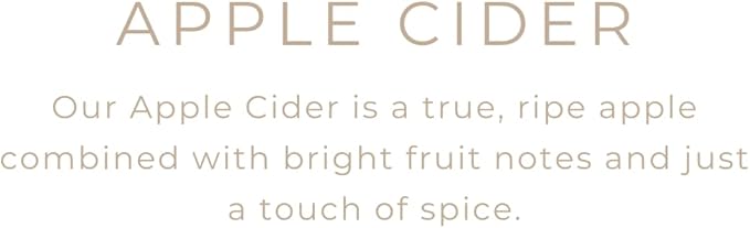 River Birch Candles Apple Cider Scented Candle | Premium, All-Natural, Non-Toxic, Soy Candles | 16oz 90 Hr Burn Time | Cozy Relaxing Gifts for Home - Bloomnest