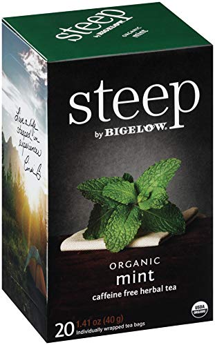 steep Organic Mint Caffeine Free Herbal 20 Count Box (Pack of 3), Certified Organic, Gluten-Free, Kosher Tea in Foil-Wrapped Bags - Bloomnest