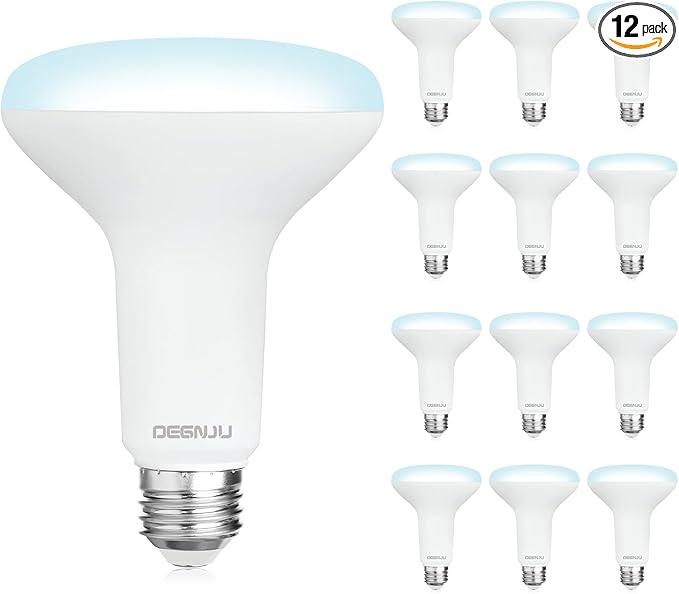 BR30 LED Bulb, Dimmable Flood Lights Indoor CRI80 7W Equivalent 65W 5000K Daylight 650 Lumens, 15000 Lifetime Hours Recessed Light Bulbs, Interior E26 Base LED Can Light Bulbs, 12 Pack - Bloomnest