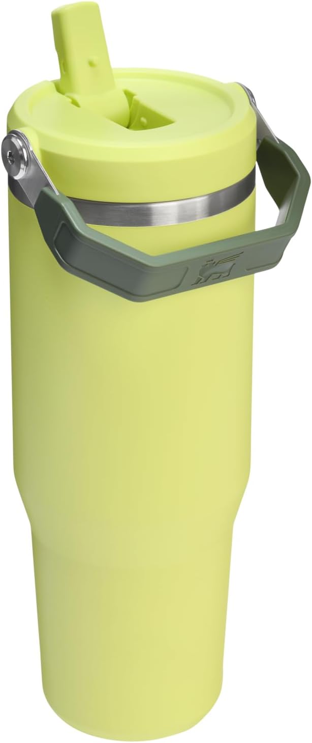 STANLEY IceFlow 2.0 Flip Straw Tumbler with Handle 30 oz | Twist On Lid and Flip Up Straw | Leakproof Water Bottle | Insulated Stainless Steel | BPA-Free | Prickly Pear - Bloomnest