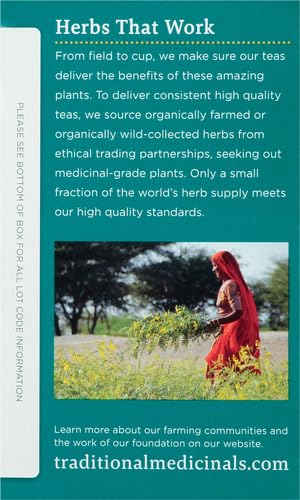 Traditional Medicinals Tea, Organic Rose Hips & Hibiscus - Supports Everyday Wellness - Kosher, Non-GMO, Caffeine-Free - 16 Tea Bags (Pack of 2) - Bloomnest