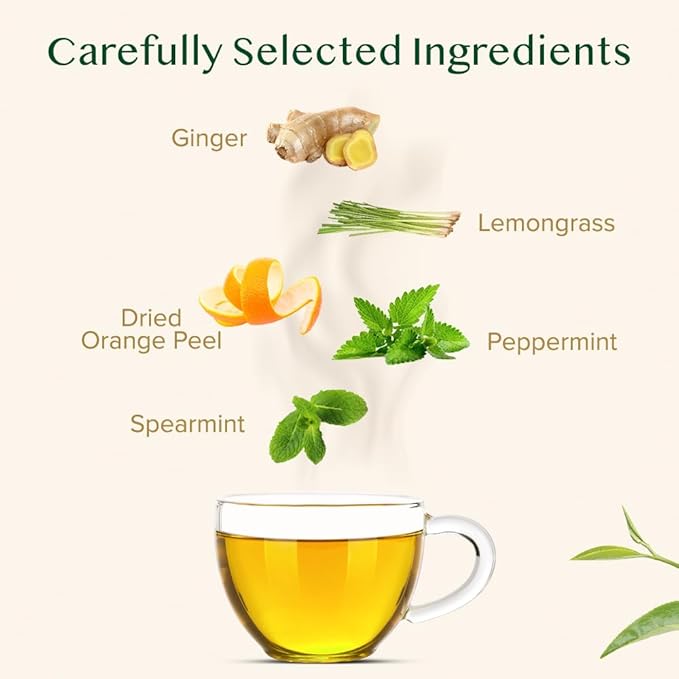 VAHDAM, Citrus Ginger Herbal Tea Tisane (50 Cups, 3.53 oz) Gluten Free, Non GMO | Ginger, Lemongrass, Orange Peels, Mint | Herbal Tea Loose Leaf | Vacuum Sealed Pack - Bloomnest