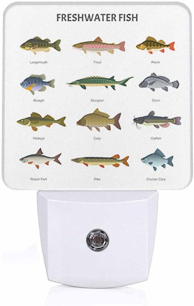 LED Night Light,Beautiful Underwater Lake Fish LED Night Light Plug into Wall with Dusk to Dawn Light Sensor White Energy Efficient Nightlight for Bedroom Bathroom Hallway Living Room Kitchen - Bloomnest