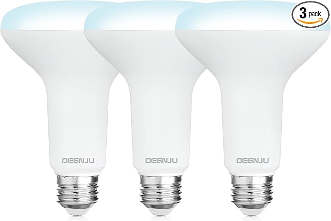 BR30 LED Bulb, Dimmable Flood Lights Indoor CRI80 7W Equivalent 65W 5000K Daylight 650 Lumens, 15000 Lifetime Hours Recessed Light Bulbs, Interior E26 Base LED Can Light Bulbs, 3 Pack - Bloomnest