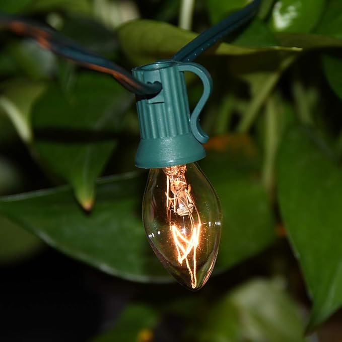 GOOTHY 25 Pack C7 Clear Christmas Light Bulbs, C7 Incandescent Christmas Replacement Lights Bulbs for Outdoor String Lights, C7/E12 Candelabra Base Candles Salt Lamp Bulb, 5 Watt Night Light Bulbs - Bloomnest