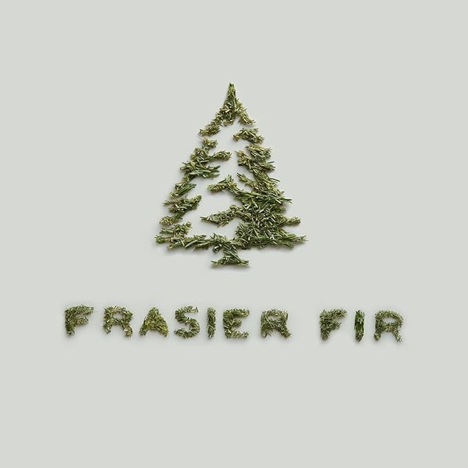 Thymes Frasier Fir Reed Diffuser Set – Includes Reeds, Fragrance Oil, and Frosted Glass Bottle – Fragrance Oil Diffuser – Room Fresheners – Luxury Home Decor – Silver (Statement, 4 fl oz) - Bloomnest