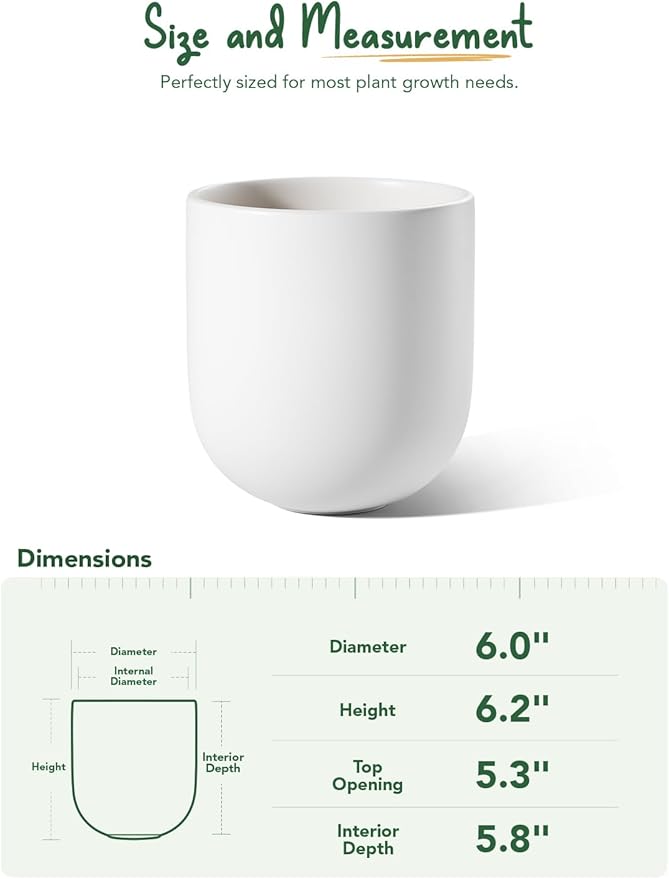 LE TAUCI 6 Inch Plant Pot, Ceramic Pot with Drainage Hole & Rubber Plug, Indoor Planter for Herbs & Small Houseplants, Cylinder Planter for Home Office, White - Bloomnest