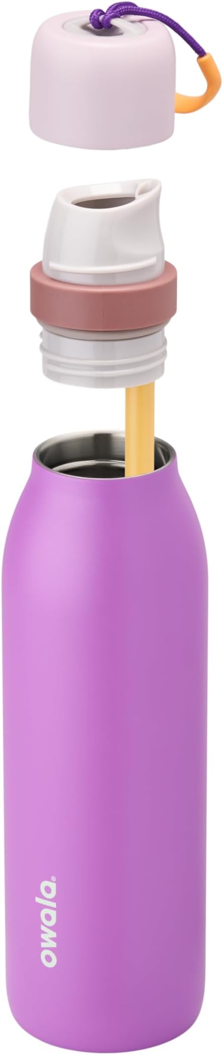 Owala FreeSip Twist Insulated Stainless Steel Water Bottle with Straw for Sports and Travel, BPA-Free, 18-oz, Purple (California Grapevine) Owala